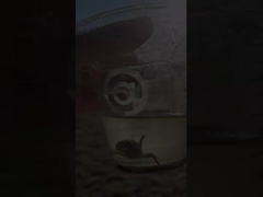 50 mm 400 mm 300 mm válvula de borboleta de ventilação com flange de aço carbono