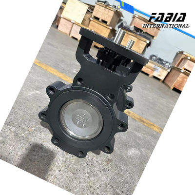 DN100 Electric WCB High Perforamnce Double Eccentric Butterfly Valve Lug Type Water Valve