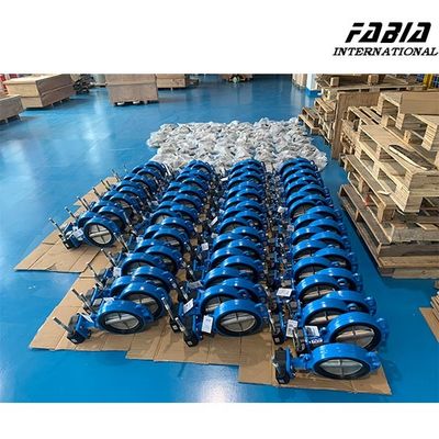 8 polegadas Worm Gear Butterfly Valve vedação confiável para tratamento de água Indústria de gás natural
